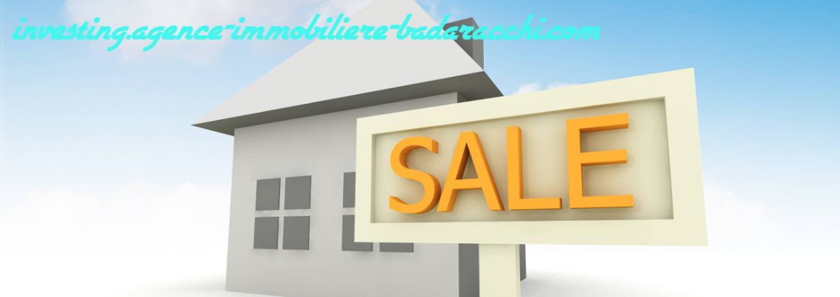investing.agence-immobiliere-badaracchi.com